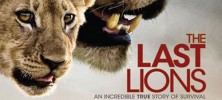 آخرین شیرها The Last Lions