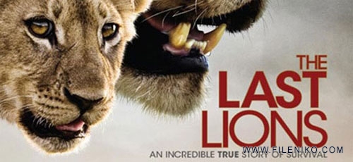 دانلود مستند The Last Lions 2011 آخرین شیرها دوبله فارسی + زبان اصلی با کیفیت Full HD