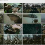 دانلود مستند ویتنام Vietnam in HD 2011 با کیفیت BluRay 720p مالتی مدیا مستند 