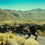 دانلود مستند Dinosaurs Giants of Patagonia دایناسورها، غول های پاتاگونیا مالتی مدیا مستند 
