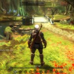 دانلود بازی Kingdoms of Amalur Reckoning برای PC اکشن بازی بازی کامپیوتر ماجرایی 