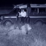 دانلود مجموعه مستند Attenborough: 60 Years in the Wild 2012 دوبله فارسی مالتی مدیا مستند 