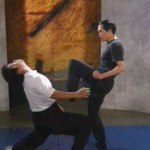 دانلود Bruce Lee Fighting Methods مستند آموزشی روش مبارزه بروس لی و دفاع شخصی مالتی مدیا مستند 