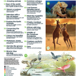 دانلود مجله ی World of Animals-Issue 27 2015 مالتی مدیا مجله 