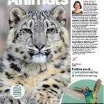 دانلود مجله ی World of Animals-Issue 29 2016 مالتی مدیا مجله 