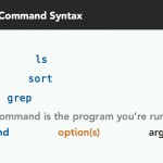 دانلود Learn The Linux Command Line The Basics فیلم آموزشی دستور های اولیه ی لینوکس آموزش سیستم عامل مالتی مدیا 