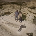 دانلود مستند Sea Monsters: A Prehistoric Adventure 2007 هیولاهای دریا:یک ماجراجویی باستانی-دوبله فارسی مالتی مدیا مستند 