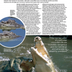 دانلود مجله ی World of Animals-Book of Sharks and Ocean Predators مالتی مدیا مجله 