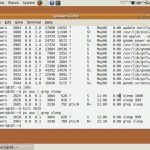 دانلود CBT Nuggets LPI Linux LPIC-1 101 and CompTIA Linux Plus - دوره آموزشی کامپتیا لینوکس پلاس و ال پی آی ۱ آموزش سیستم عامل آموزشی مالتی مدیا 