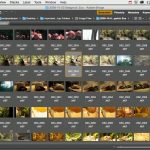 دانلود InfiniteSkills Automating Adobe Photoshop Training فیلم آموزشی خودکارسازی کارها در فتوشاپ آموزش گرافیکی آموزشی مالتی مدیا 