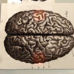 دانلود مستند The Creative Brain: How Insight Works مغز خلاق: کارکرد بینش مالتی مدیا مستند 