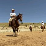 دانلود مستند Buck 2011 باک رام کننده اسب مالتی مدیا مستند 