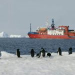 دانلود فصل اول مستند Expedition Antarctica 2016 سفر قطب جنوب با زیرنویس انگلیسی مالتی مدیا مستند 