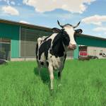 دانلود بازی Farming Simulator 22 برای PC بازی بازی کامپیوتر شبیه سازی مطالب ویژه 