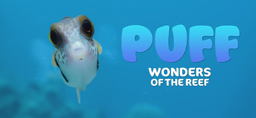 دانلود مستند Puff Wonders Of The Reef 2021 با زیرنویس فارسی
