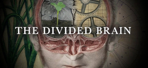 دانلود مستند The Divided Brain 2019